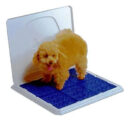 Sanitário Canino Pipi Place Higiênico Para Cachorro