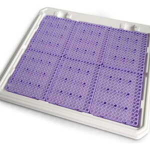 Pipi Place Femea Lilas - Kit Completo [animalissimo]